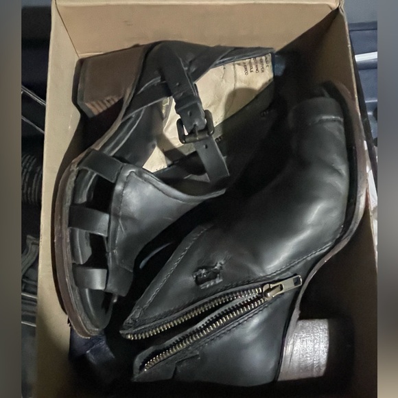 Calico - Picture 2 of 5